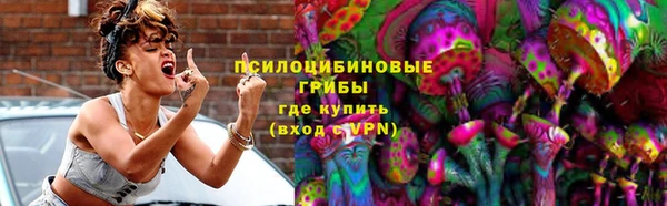 соль ск Липки