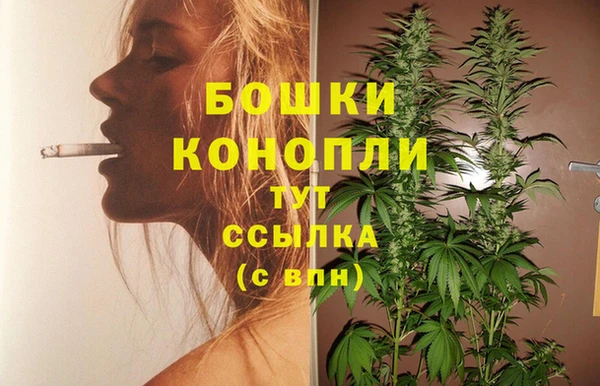 соль ск Липки
