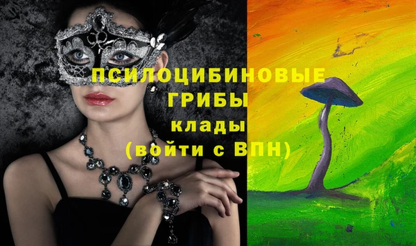 гидра Лихославль