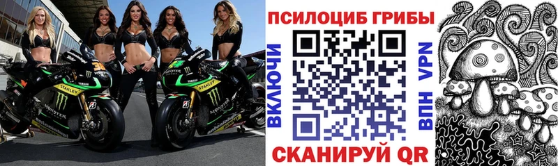 сколько стоит  Обнинск  Галлюциногенные грибы Psilocybe 