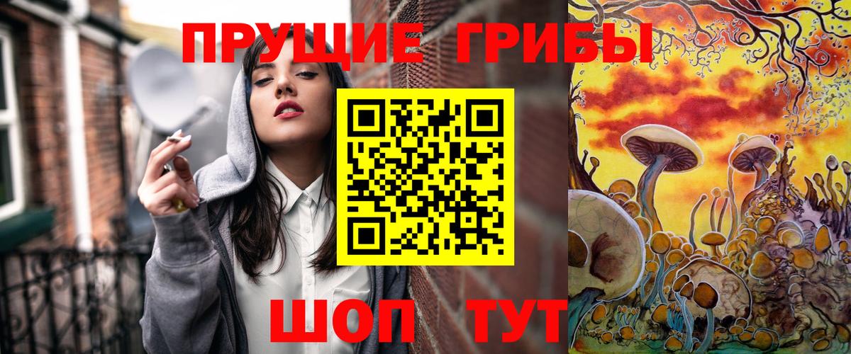Псилоцибиновые грибы GOLDEN TEACHER  Вход с VPN  где найти наркотики  Обнинск 
