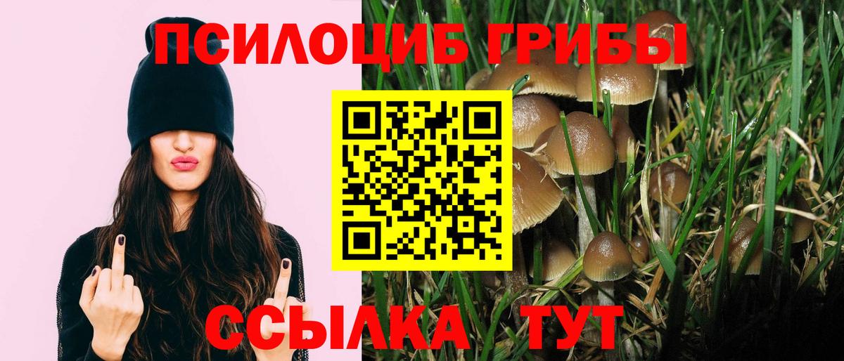 Галлюциногенные грибы GOLDEN TEACHER Обнинск